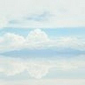 Meet your Posher, Miranda